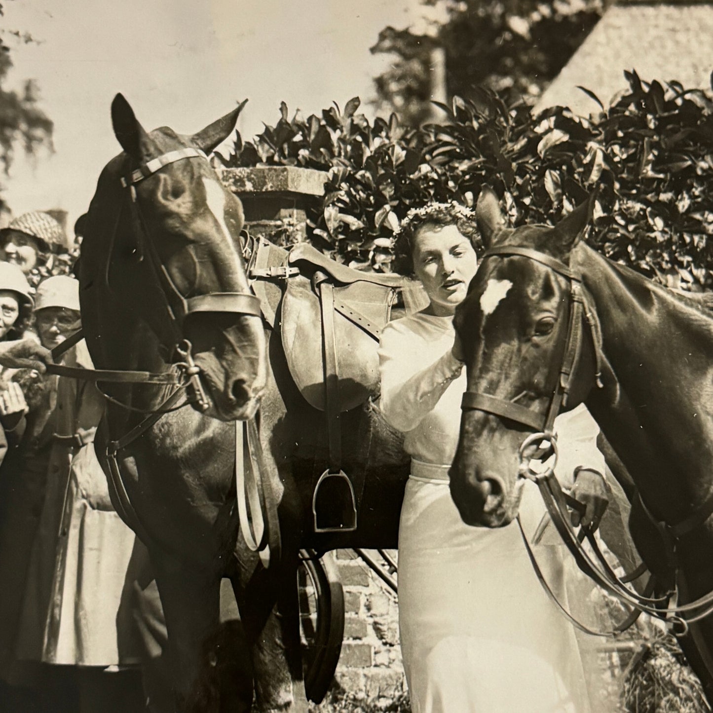1934 Wedding Press Photo Photograph Horses British Nobles