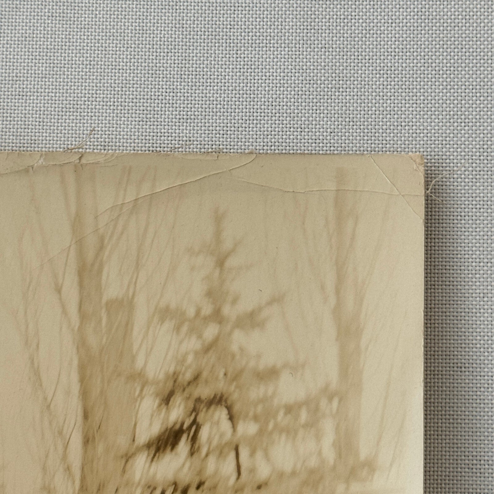 Vintage York Hoover Body Company International Truck Factory Photo Photograph