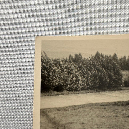 Rudolf Caracciola Mercedes Benz Racing Car Photo Postcard Post Card German