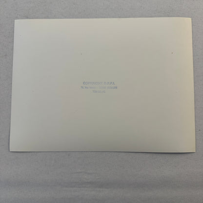 Porsche 911 Racing Car Photo Photograph Print DPPI Press Photo