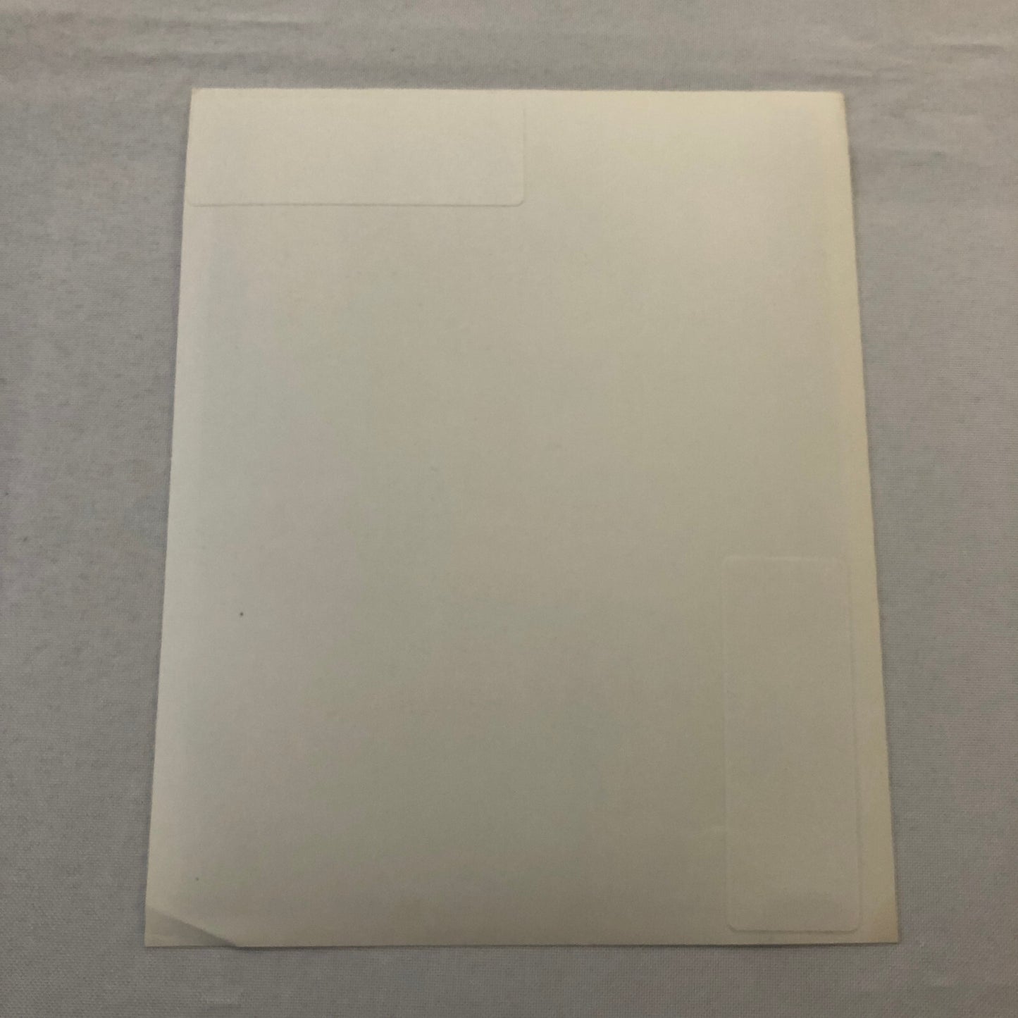 Cyd Charisse Photo Photograph Print Actress Movie Film