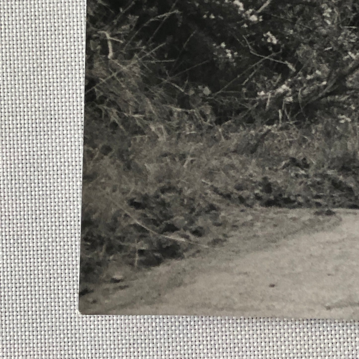 Vintage Renault Alpine Rally Racing Car Photo Photograph Print 