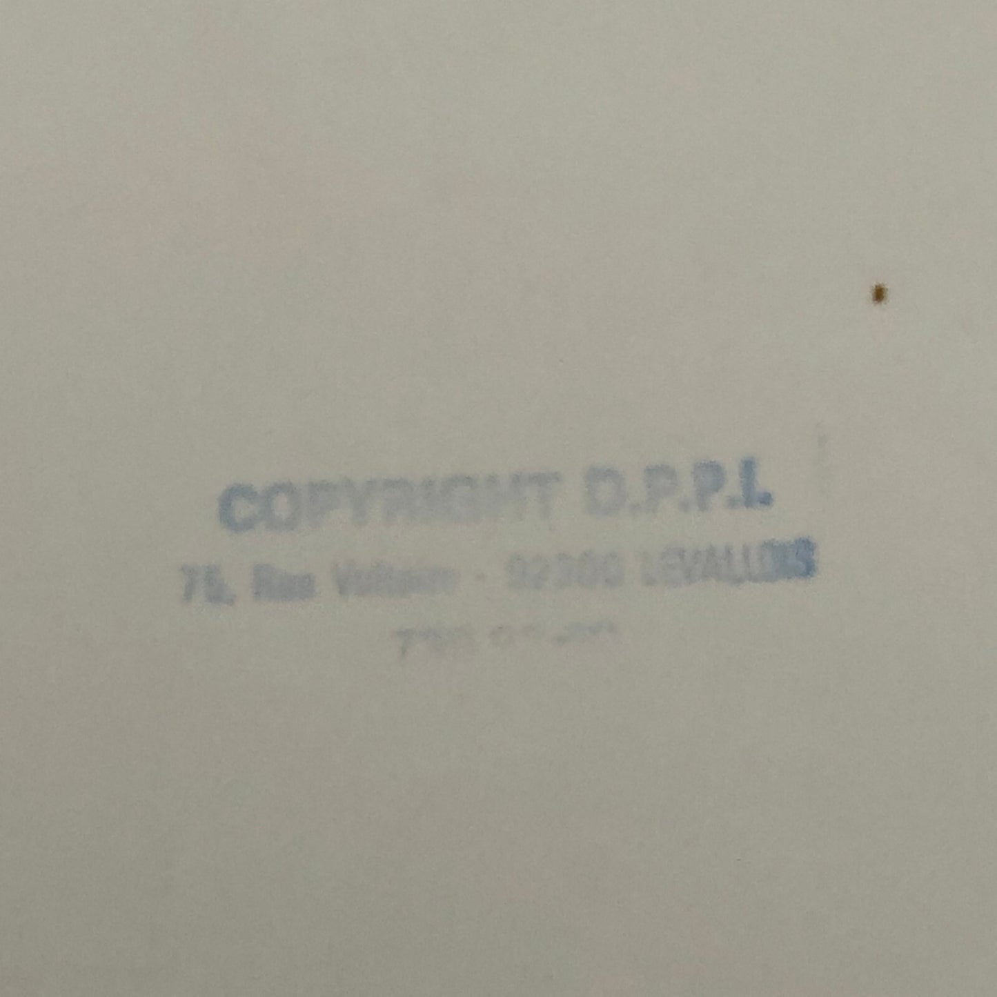 1980 Transafrica Rally Rallye Photo Photograph DPPI Renault Truck