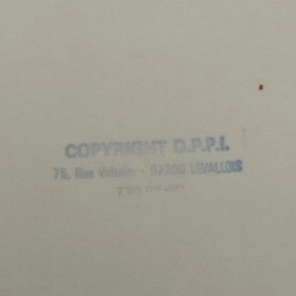 1980 Transafrica Rally Rallye Photo Photograph DPPI Renault Truck