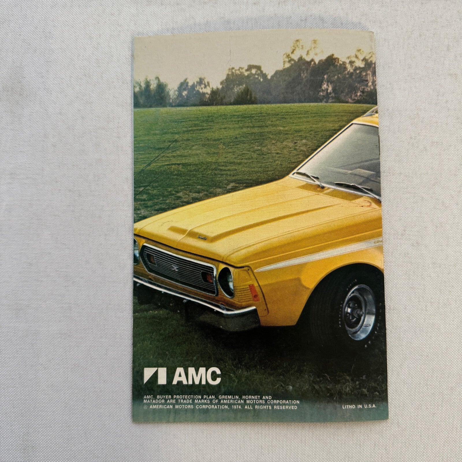 American Motors AMC Sales Brochure Catalog Levis Gremlin Matador X Hornet
