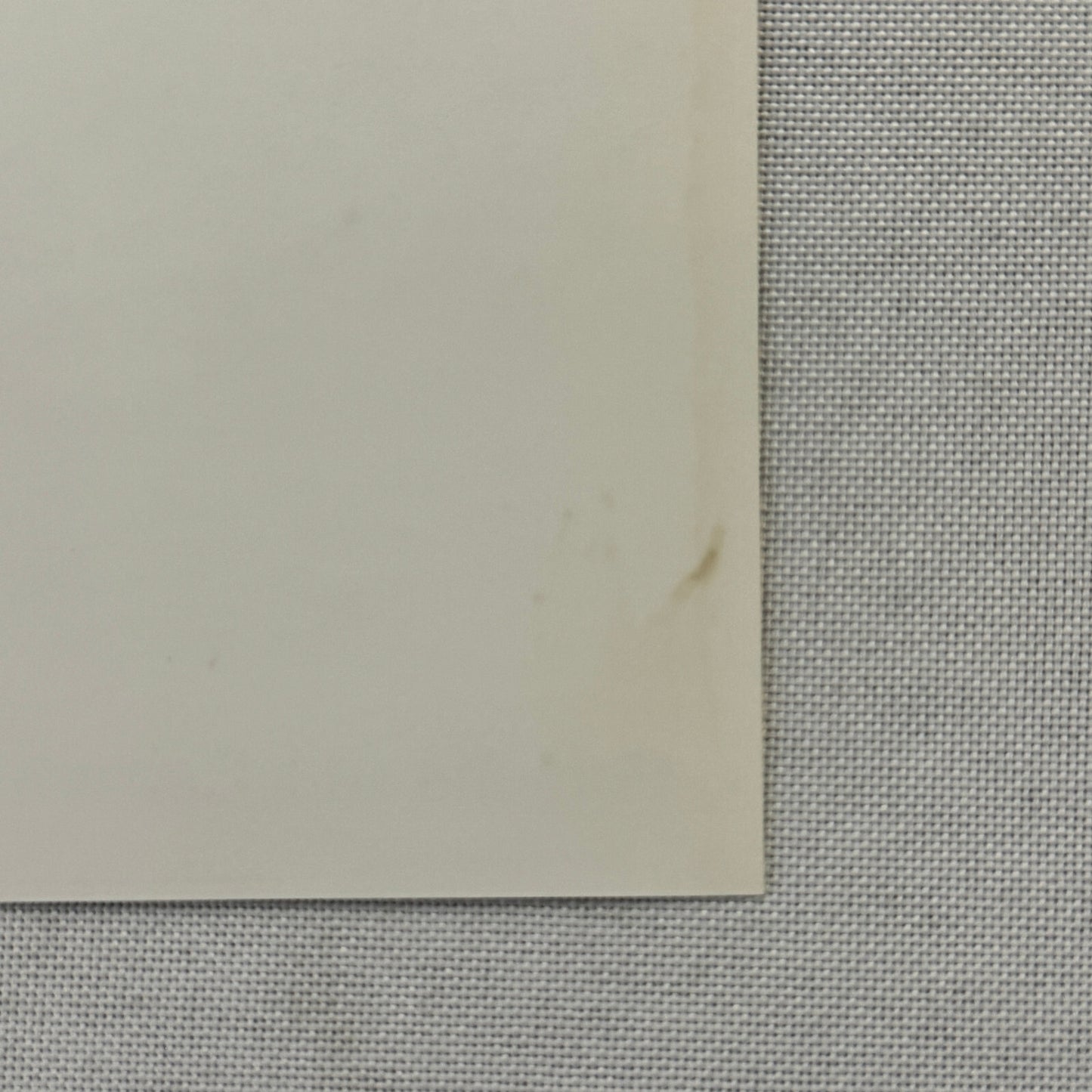 1994 Porsche 911 Carrera Factory Press Photo Photograph German