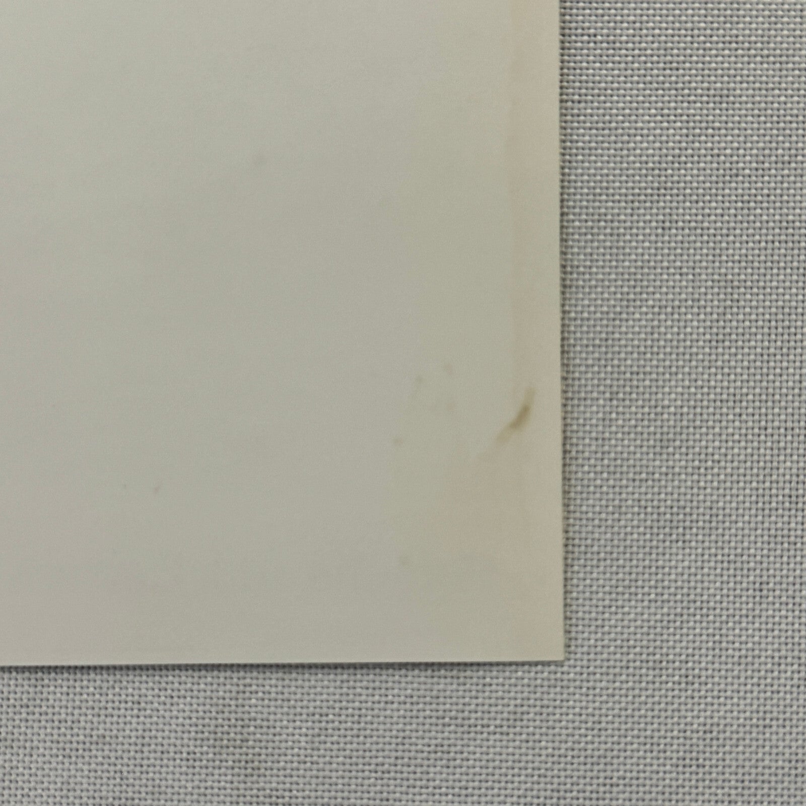 1994 Porsche 911 Carrera Factory Press Photo Photograph German