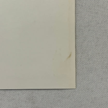 1994 Porsche 911 Carrera Factory Press Photo Photograph German