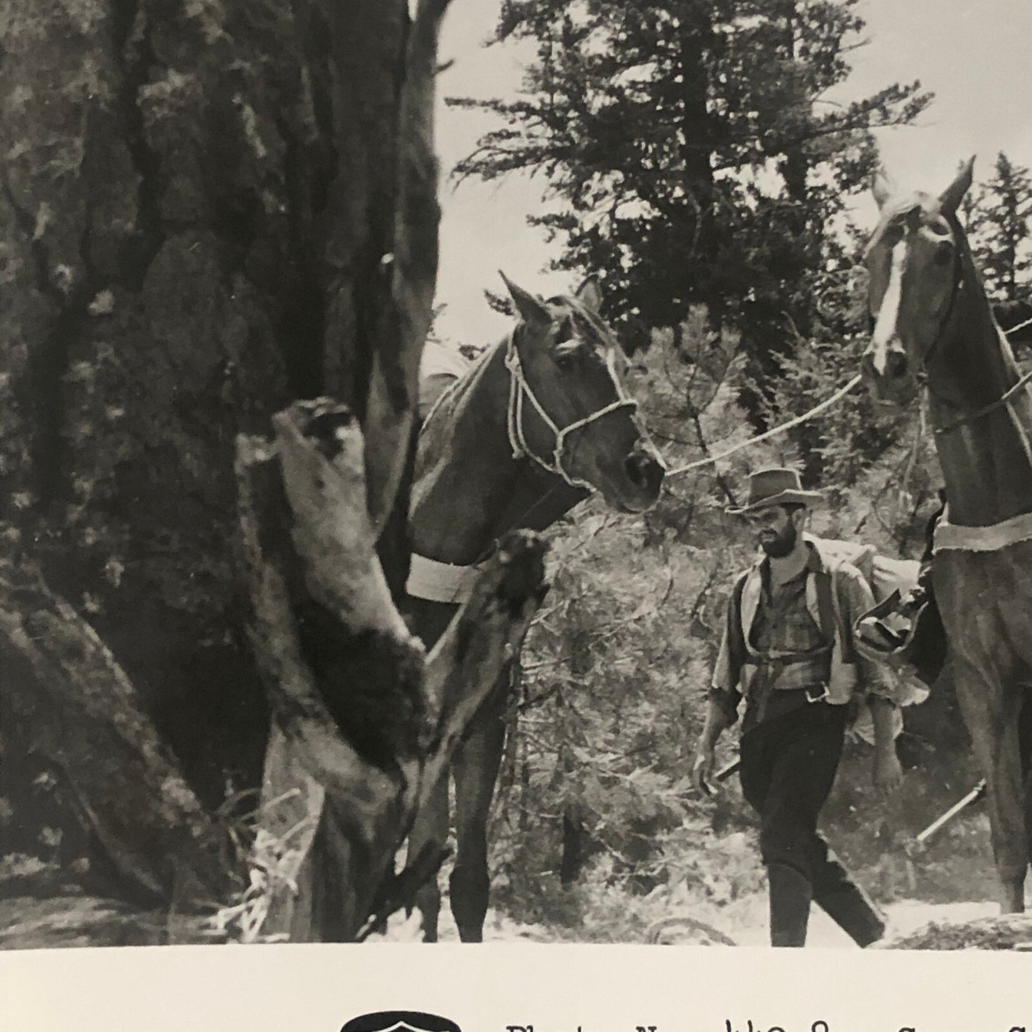 Actor Gary Cooper The Hanging Tree Movie Press Photo Photograph Warner Brothers