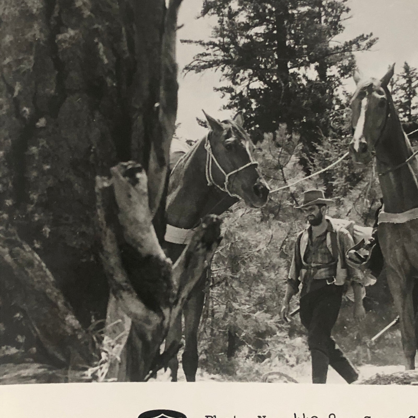 Actor Gary Cooper The Hanging Tree Movie Press Photo Photograph Warner Brothers