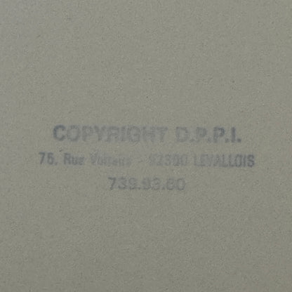 Porsche 911 Racing Car Photo Photograph Print DPPI Press Photo