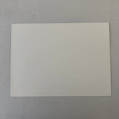 Porsche Panamericana Concept Car Prototype Factory Press Photo Photograph Print