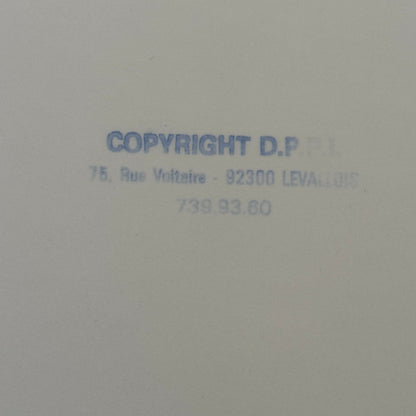 Vintage Rally Racing Photo Photograph Print DPPI Hillman Sunbeam Imp Car