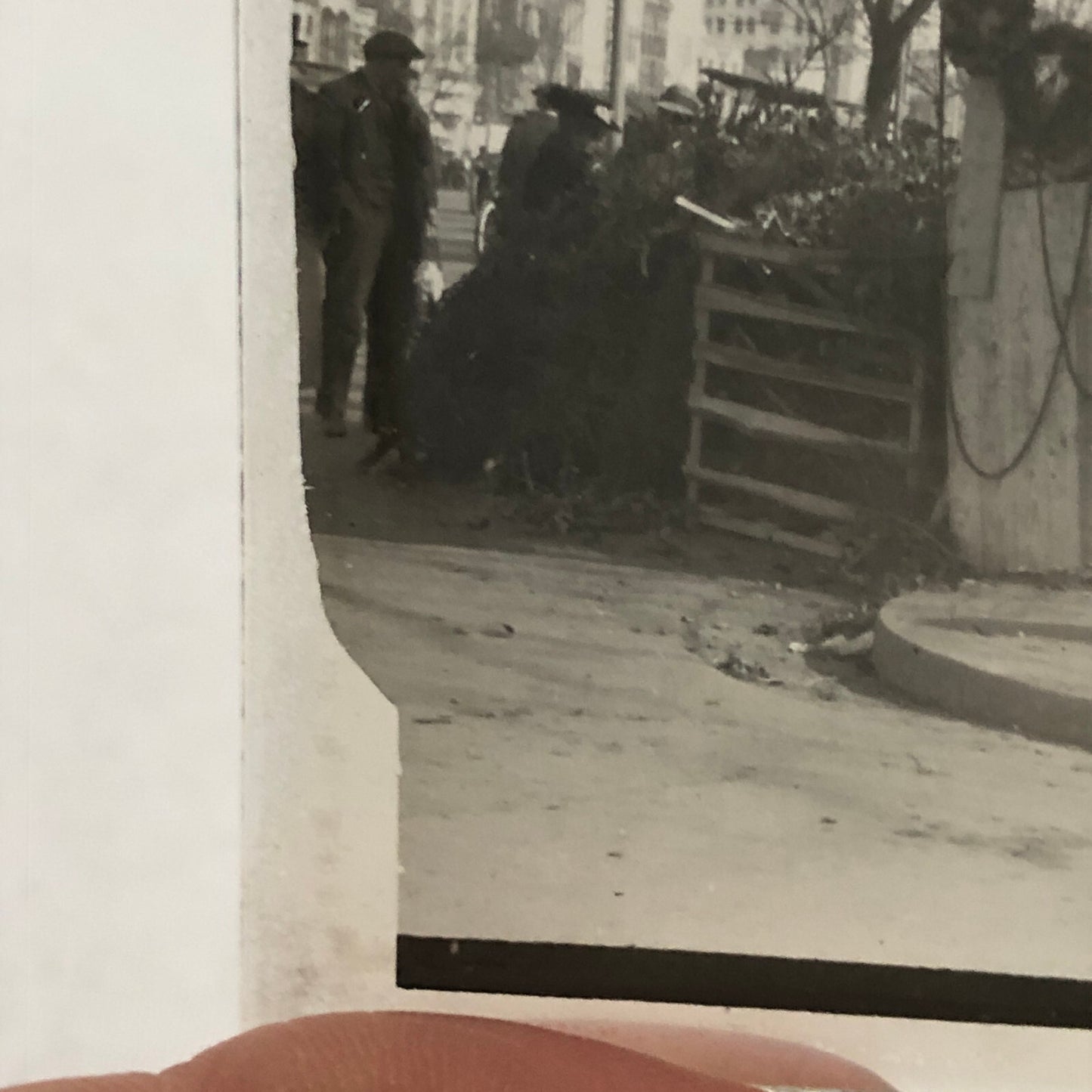 Antique Glass Plate Lantern Slide Photo People in Market with Plants Wreath