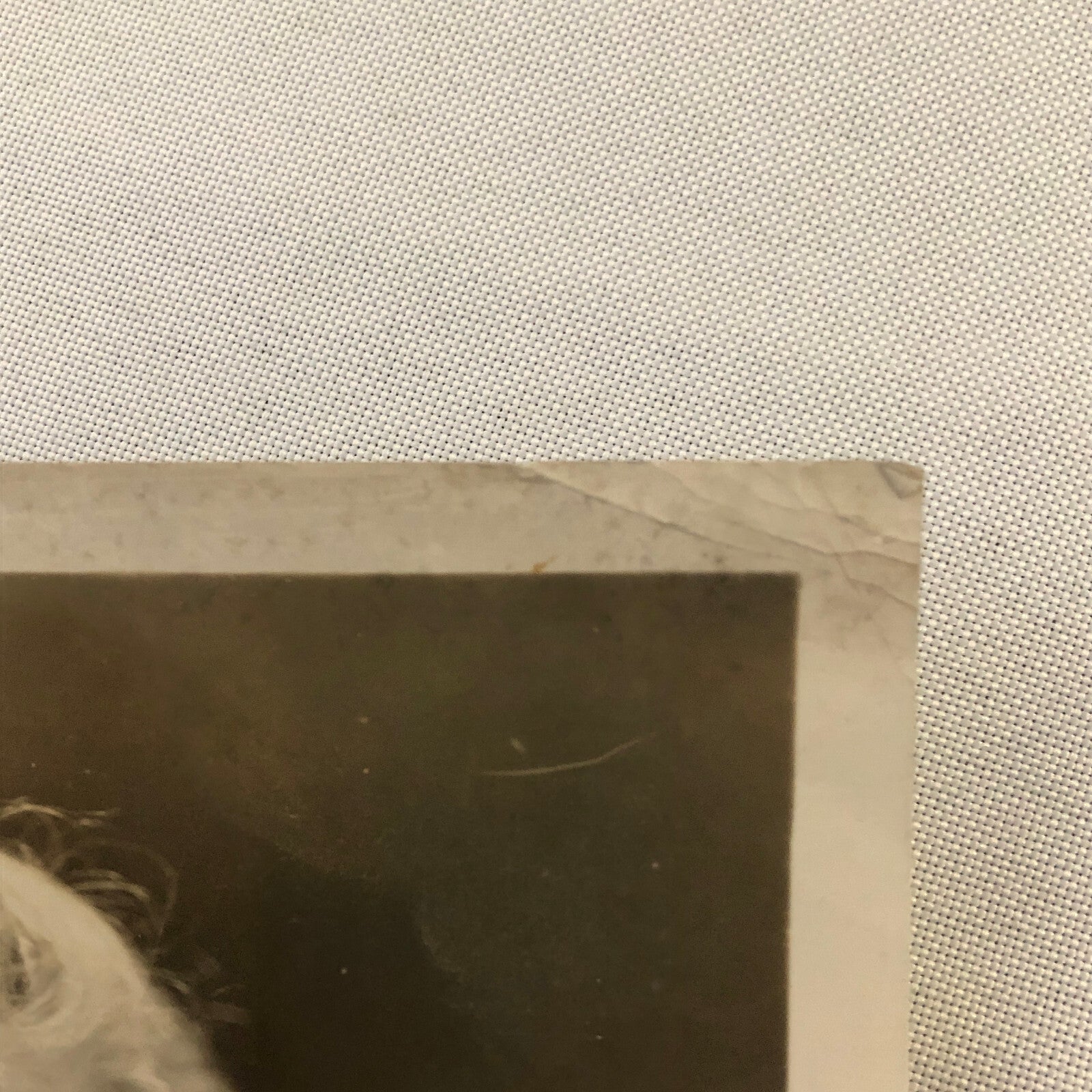 Press Photograph Photo Wife of US Ambassador to Germany 1930s Robert P Skinner