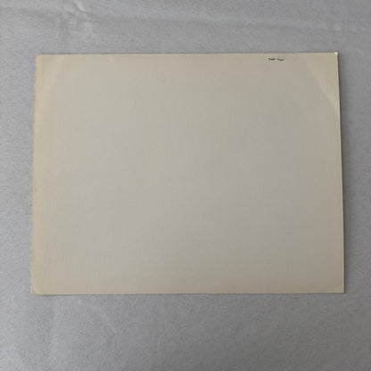 Vintage Movie Still Press Photo Photograph Namu the Killer Whale 1966