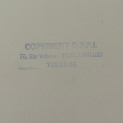 1980 Rallye Monte Carlo Press Photo Photograph DPPI Ford Escort RS1800 MKII