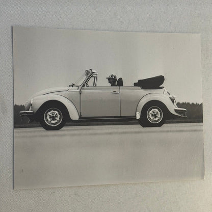 Vintage Volkswagen Beetle Convertible VW Bug Car Photo Photograph Cabriolet