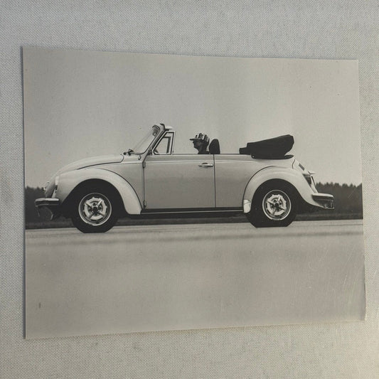 Vintage Volkswagen Beetle Convertible VW Bug Car Photo Photograph Cabriolet