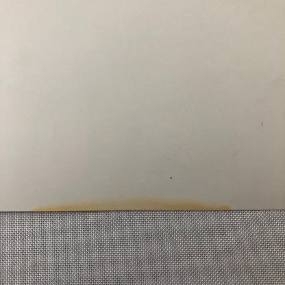 Vintage Movie Film Still Photo Photograph Print Irene Dunne