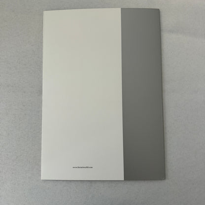 Ferrari Financial Services Formula Leasing Sales Brochure Catalog Advertising