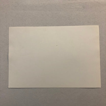 Vintage Racing Car Photo Photograph Print Car Number 2