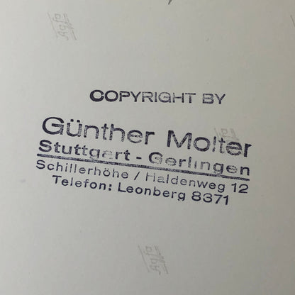 Climax Grand Prix Racing Car Engine Motor Photo Photograph Print Gunther Molter