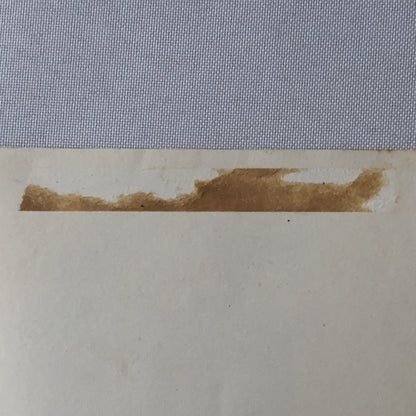 Circus Performer Bicycle Act Photo Photograph Vintage Dan Sayton & Ruth