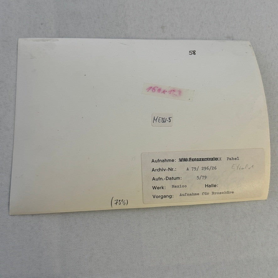 Vintage Volkswagen Mexico Car Transport Ship Boat Photo Photograph Print VW Bug