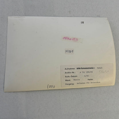 Vintage Volkswagen Mexico Car Transport Ship Boat Photo Photograph Print VW Bug