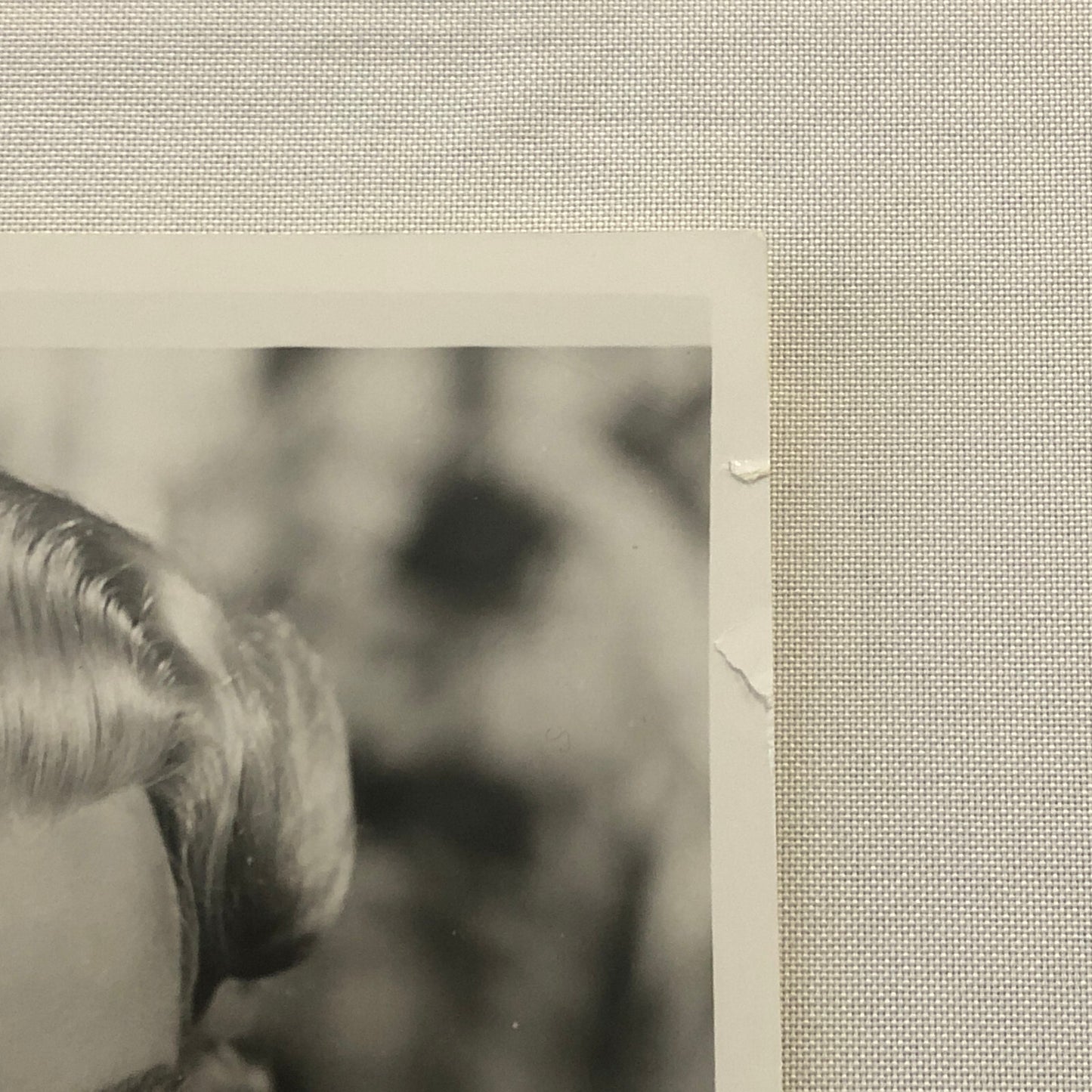 Lana Turner The Sea Chase Movie Still Photo Photograph