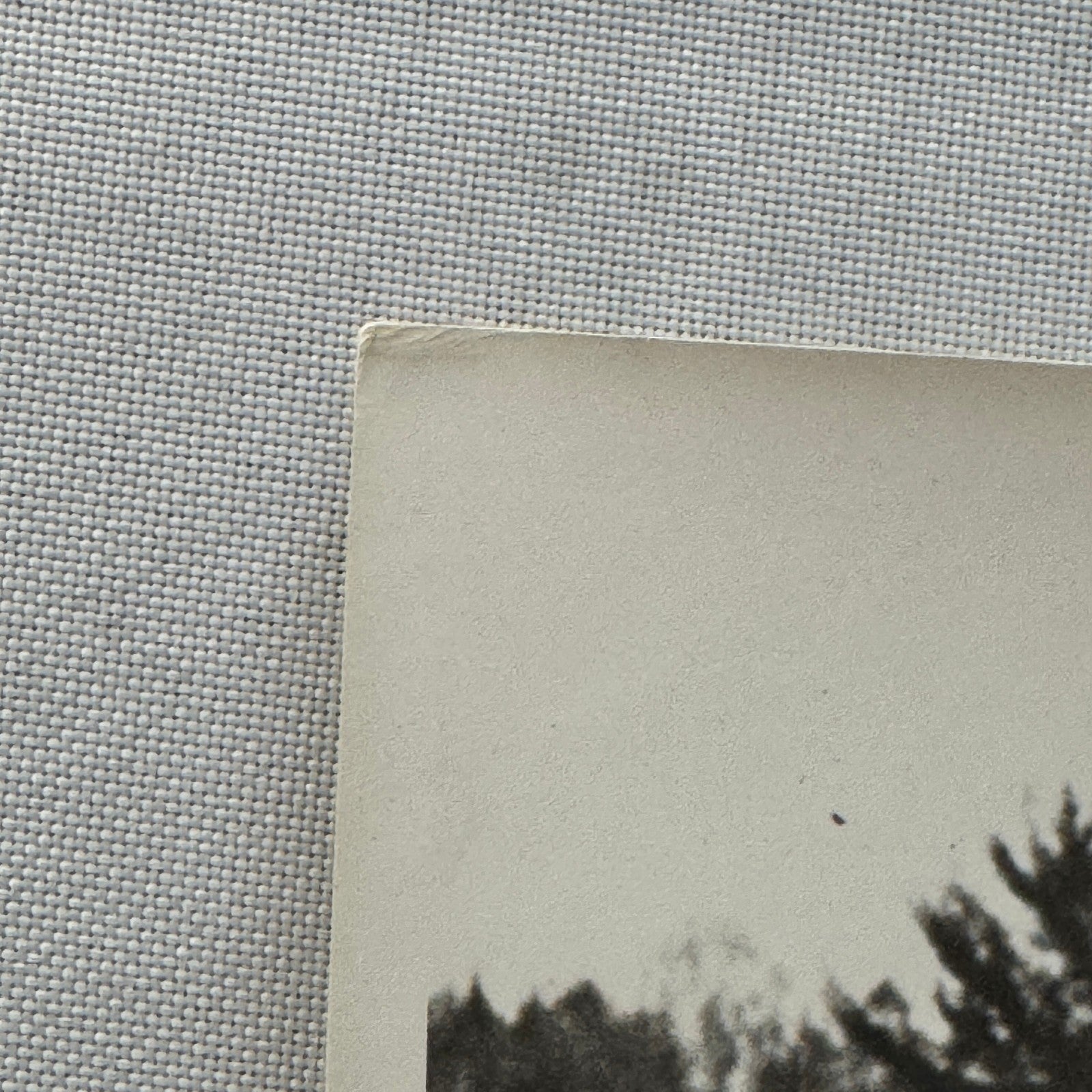 Vintage Car Racing Photo Circuit Mont Tremblant Quebec Photograph