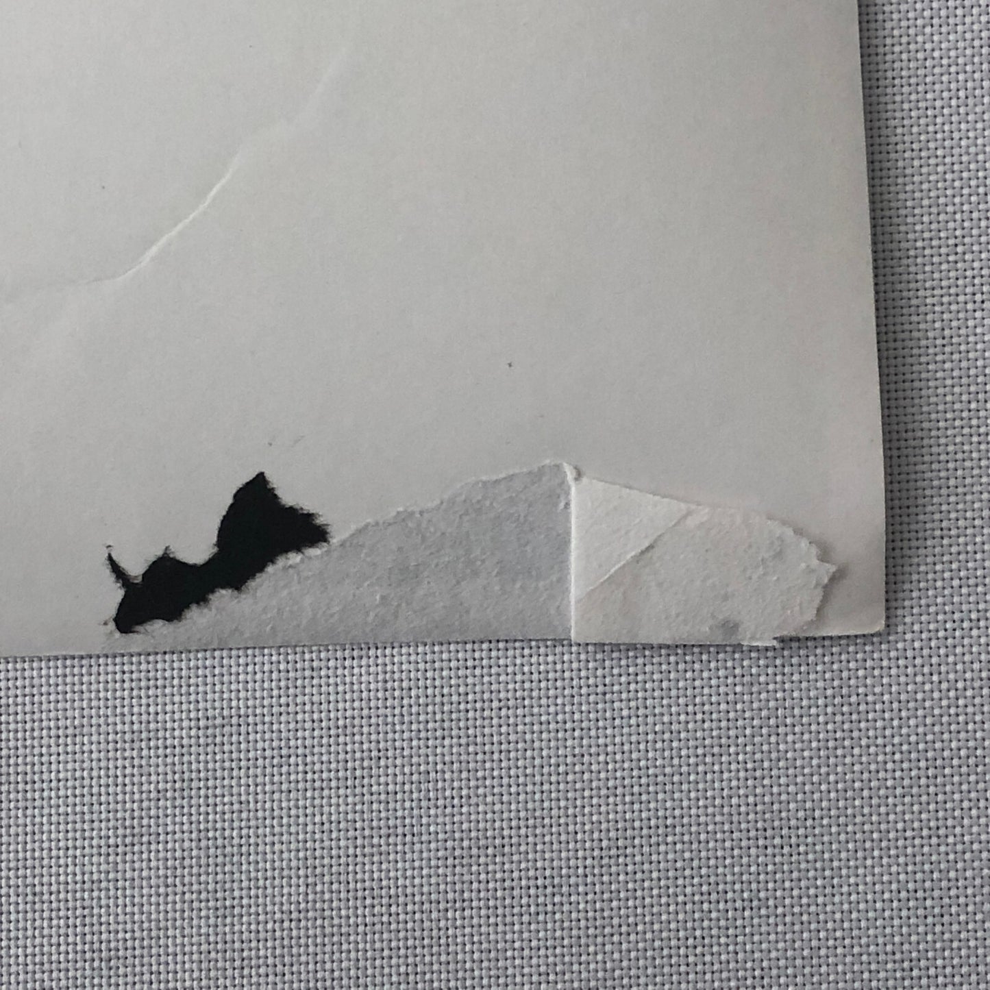 Vintage Antique Car Rally Photo Photograph Print - Guy Griffiths Tag REA22E4