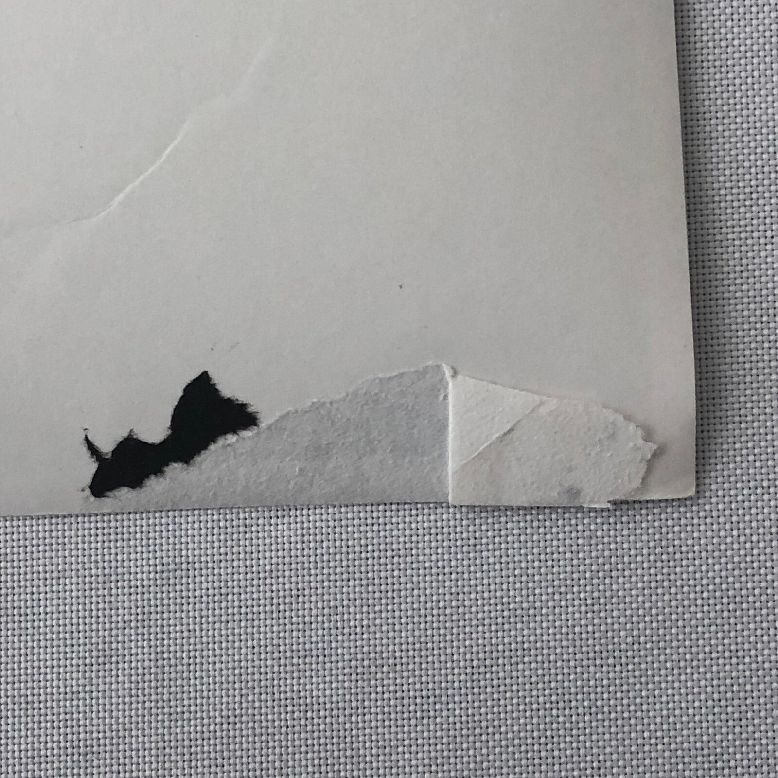 Vintage Antique Car Rally Photo Photograph Print - Guy Griffiths Tag REA22E4