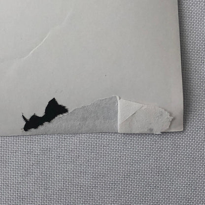 Vintage Antique Car Rally Photo Photograph Print - Guy Griffiths Tag REA22E4