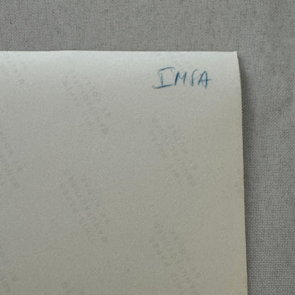 Porsche Racing 1975 Camel GT Driver Al Holbert 1975 Vintage Photo Photograph