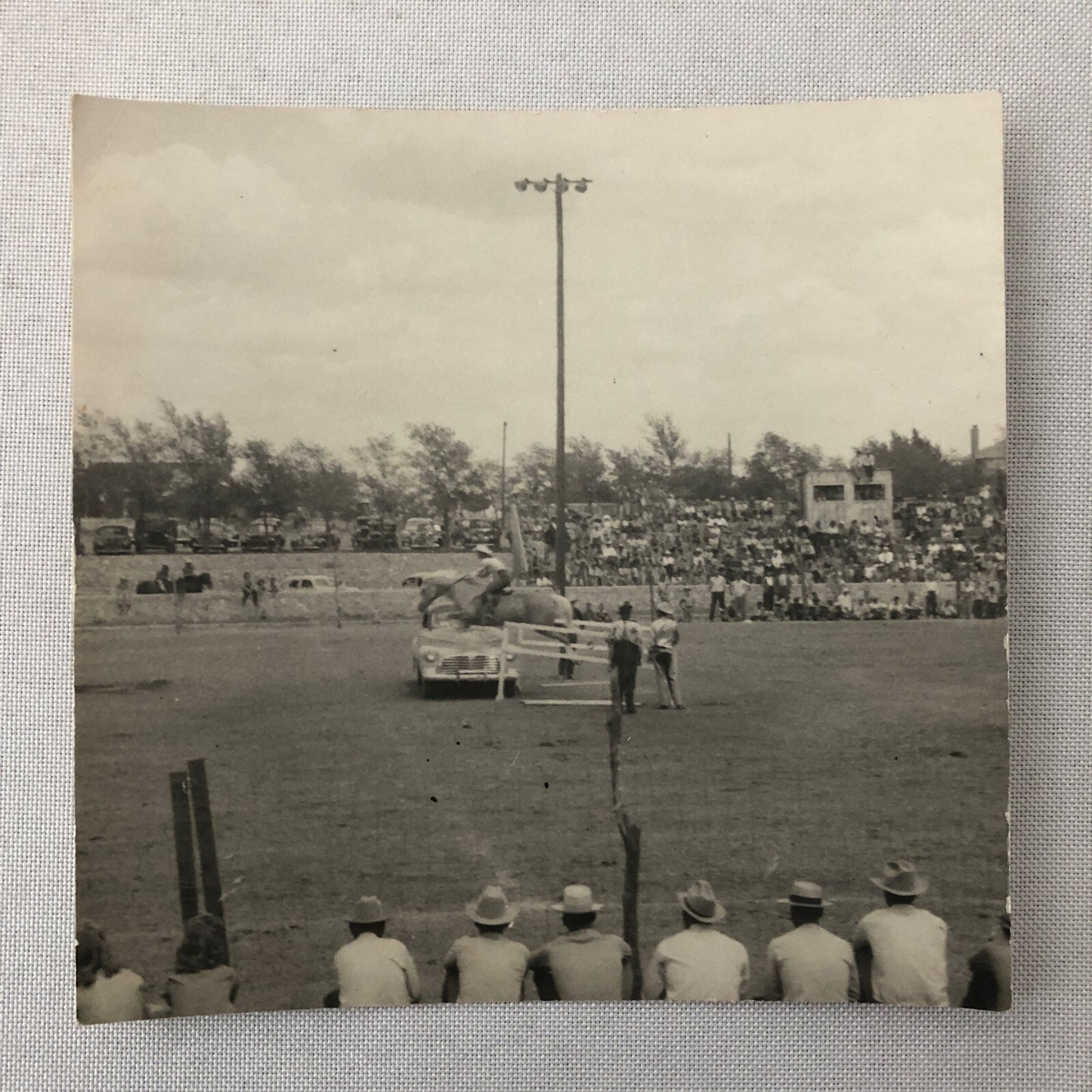 Horse Jumping Over Car Automobile Vintage Photo Photograph