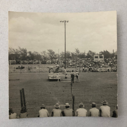 Horse Jumping Over Car Automobile Vintage Photo Photograph
