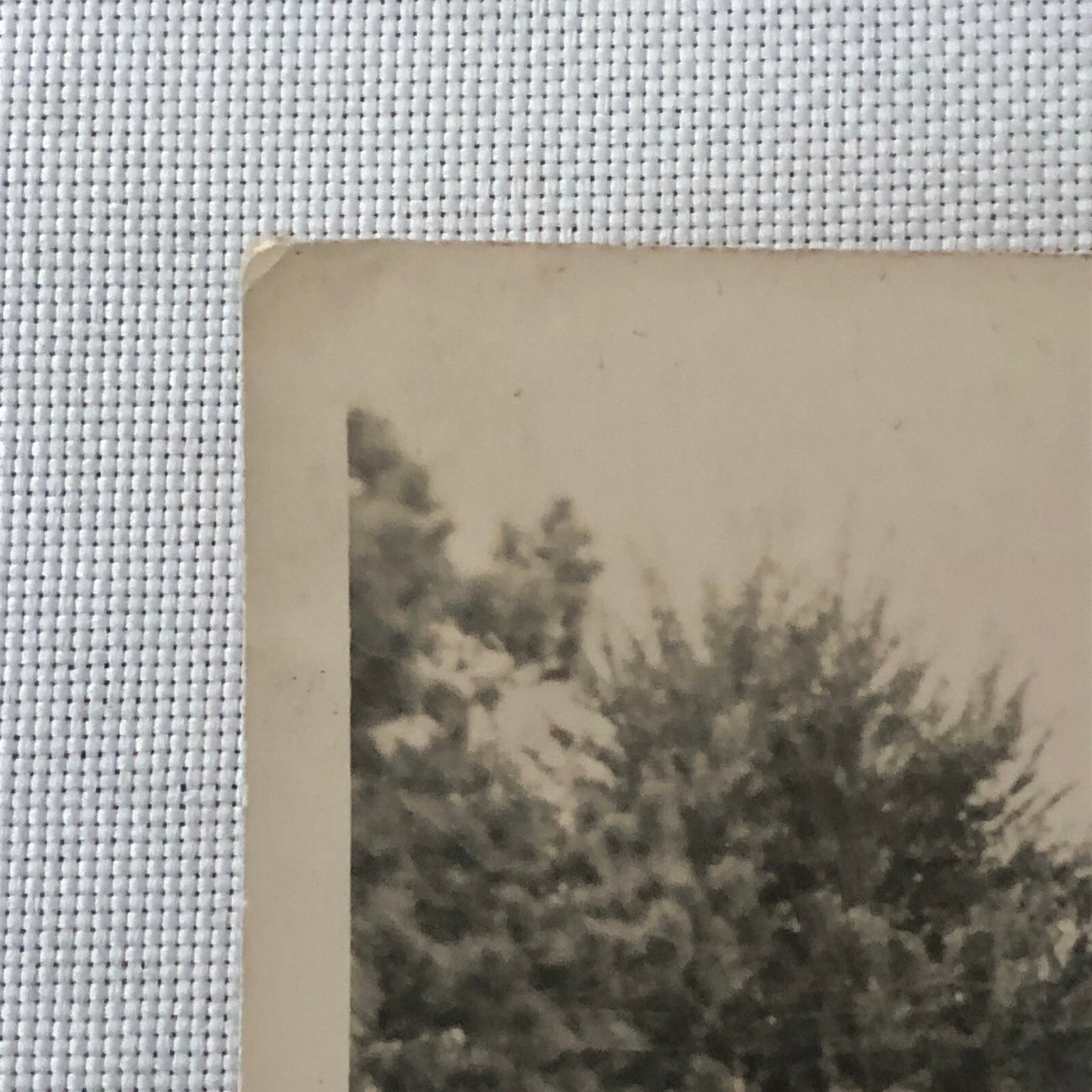 Vintage Car Automobile Photo Photograph Print 1913 Renault 