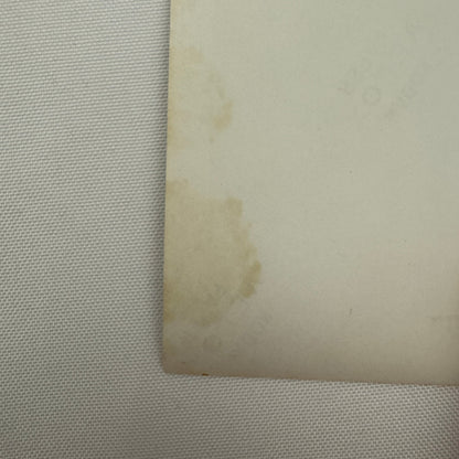 Vintage Automobile Photo Photograph Print Snapshot Woman with Car