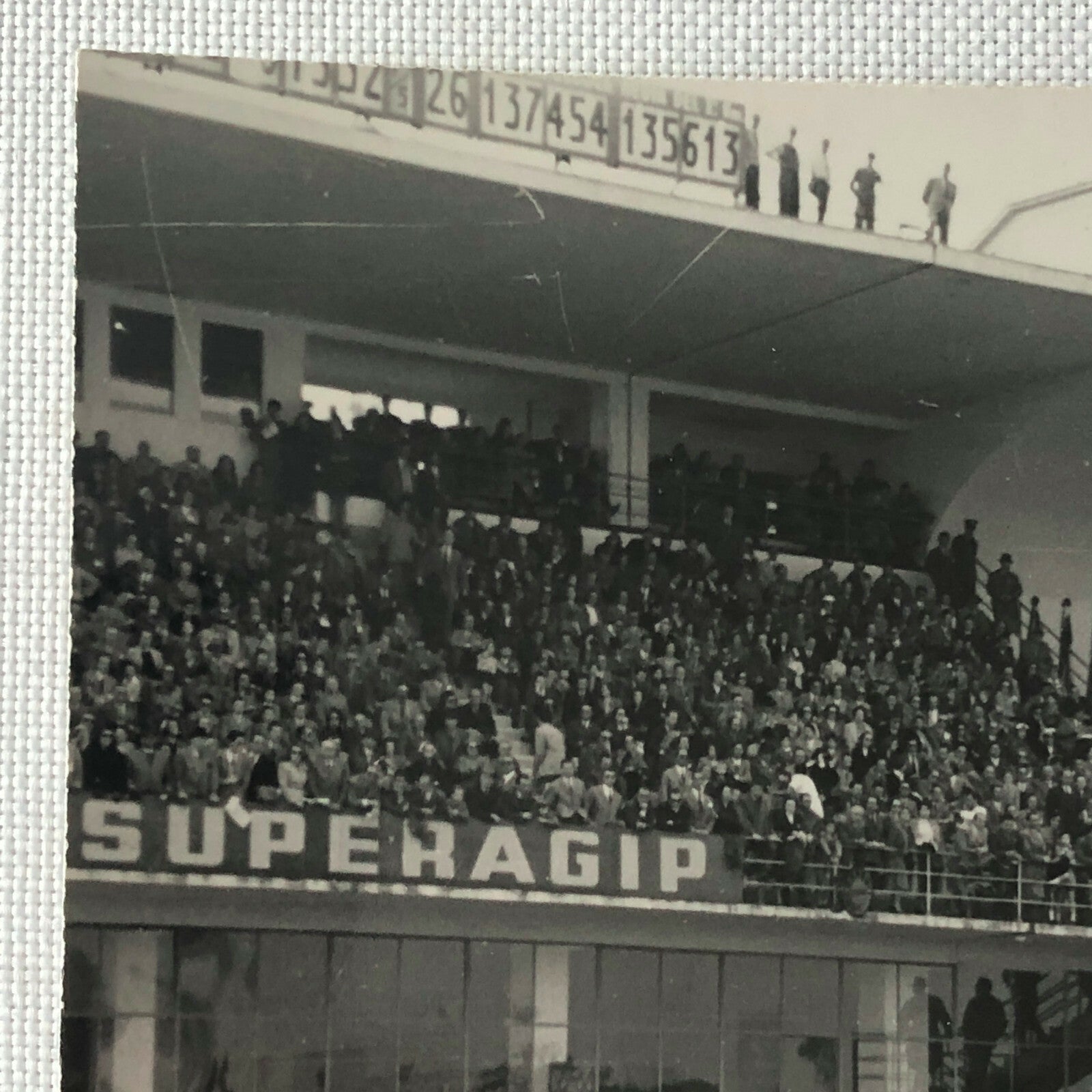 1951 Stirling Moss Racing Photo Photograph Motorsport Race