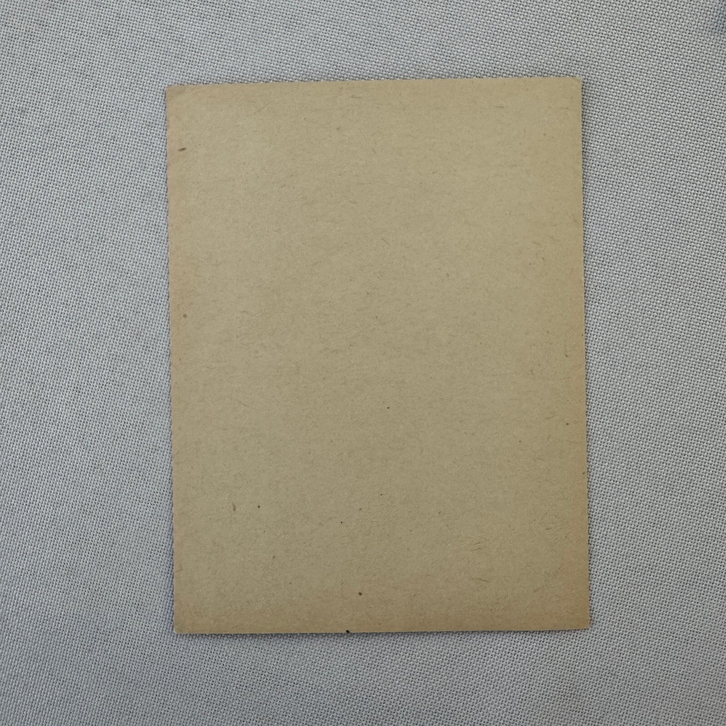 Vintage Travel Label Grand Hotel Montecatini Terme Croce di Malta Italy Italian