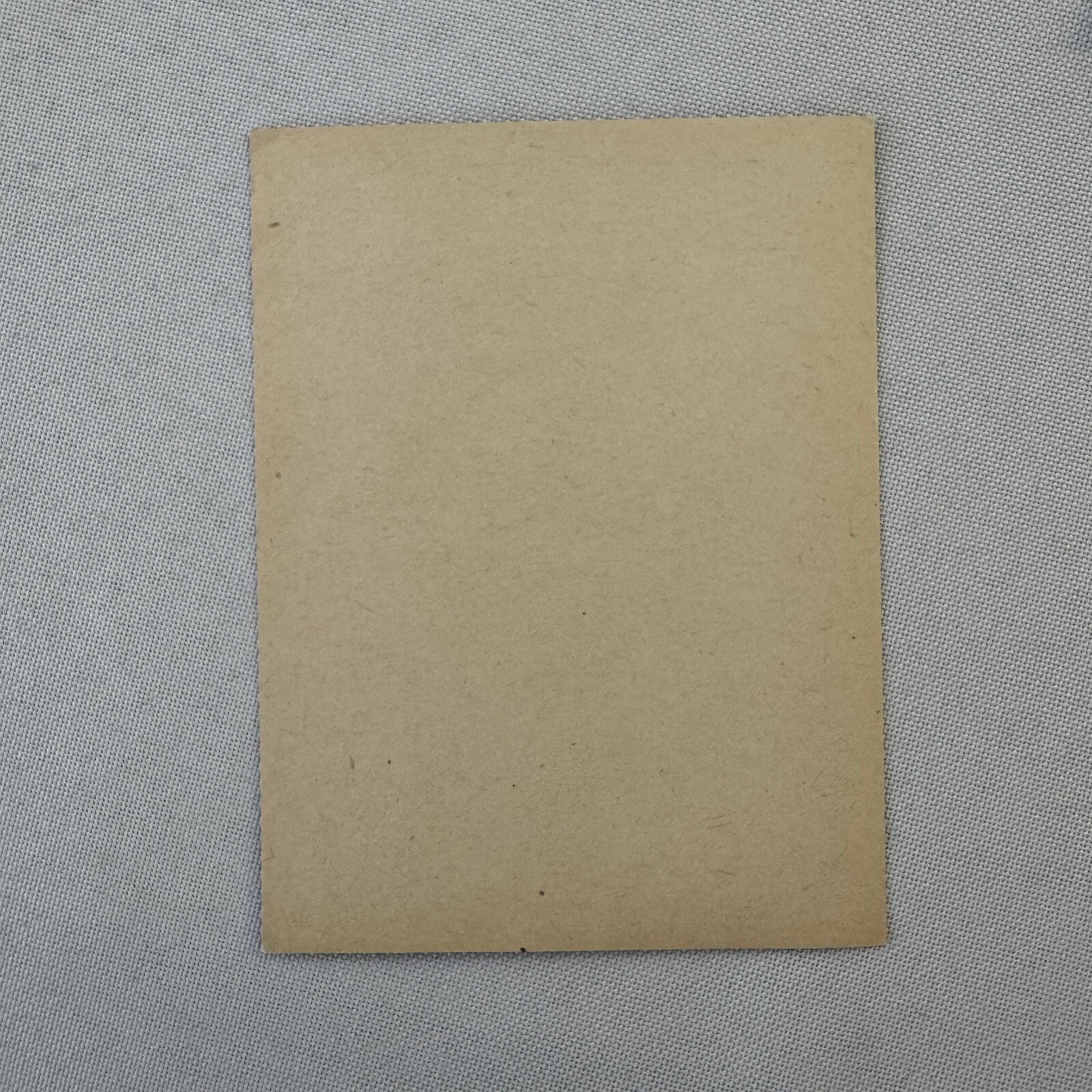 Vintage Travel Label Grand Hotel Montecatini Terme Croce di Malta Italy Italian