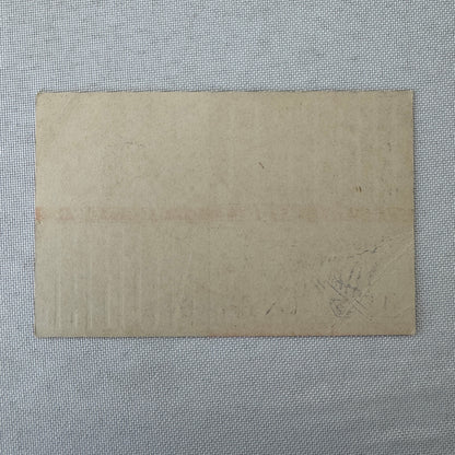 Vintage Hotel Travel Luggage Label Hotel Nobel Oslo Norway Norwegian