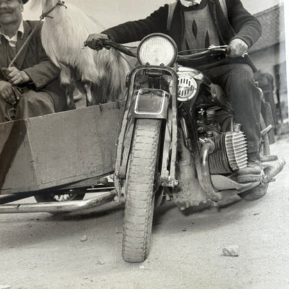 Vintage Motorcycle Bike Sidecar Photo Photograph Men with Goat Germany