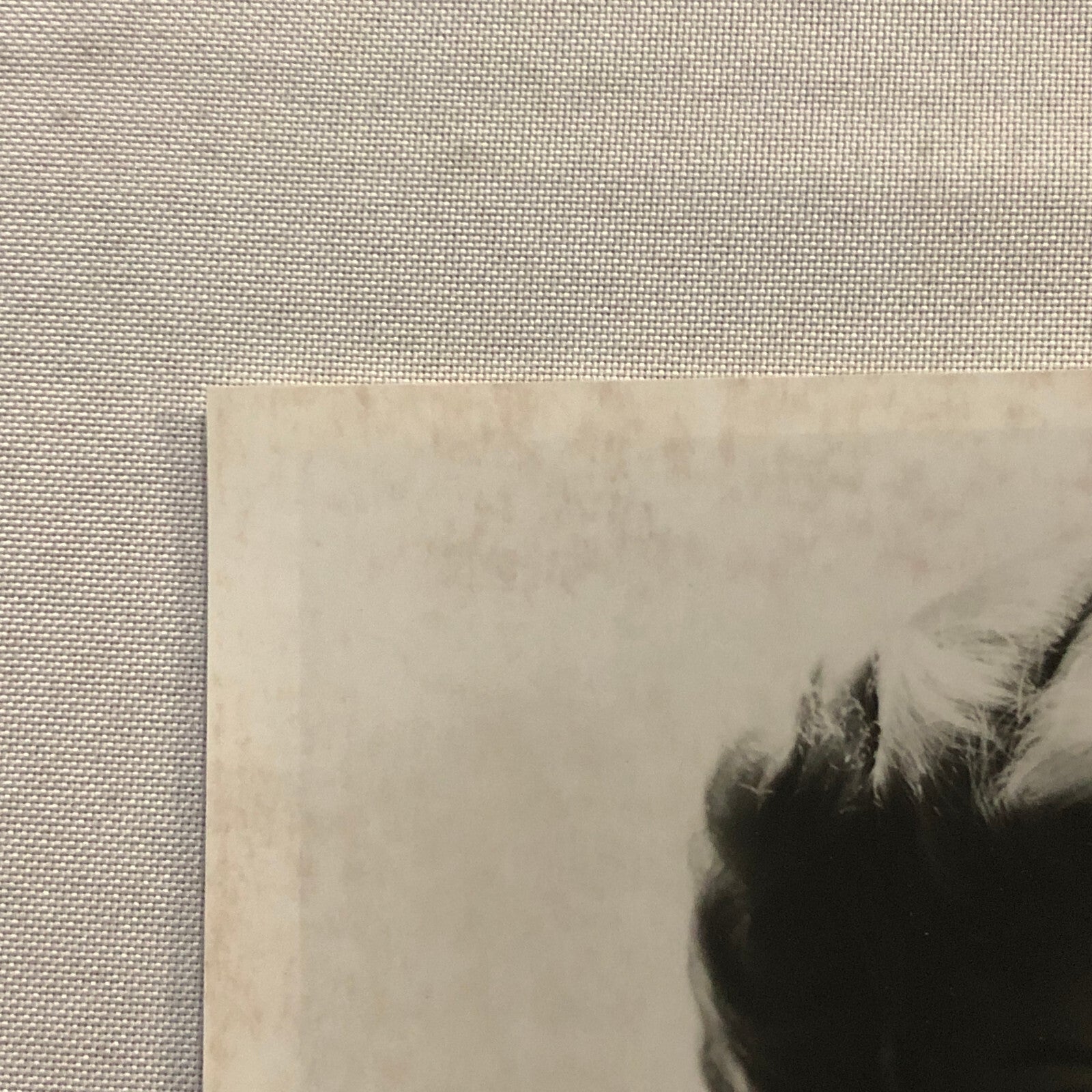 Lana Turner Hollywood Movie Star Actress Photo Photograph