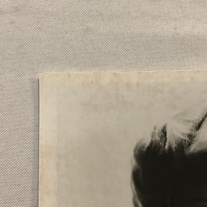 Lana Turner Hollywood Movie Star Actress Photo Photograph