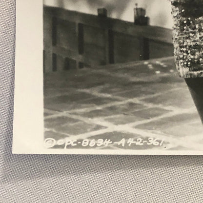 Lana Turner Love Has Many Faces Movie Still Photo Photograph