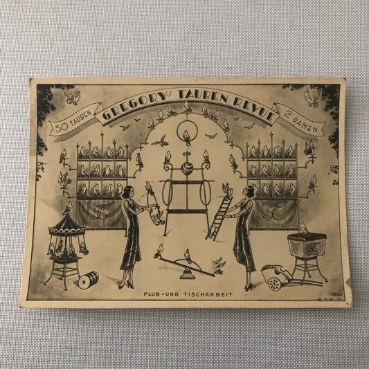 Circus Bird Training Act Postcard Post Card Gregory's Tauben Revue German