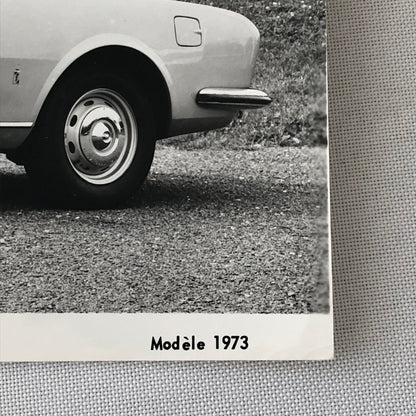 1973 Peugeot 504 Coupe Car Automobile Photo Photograph Print 